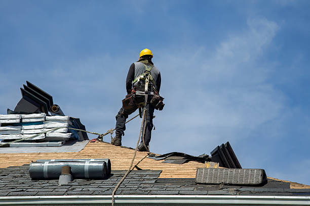 Professional Roof Replacement technician working in Loretto, MN